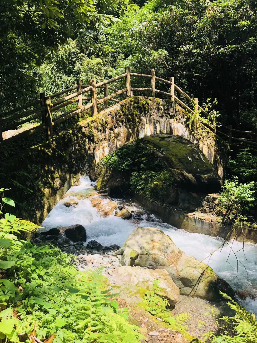 救援选美皇后